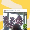 ���� ������, �������, 41 ��� - ��������� 10 ���� 2023 � ������ ���� ����������