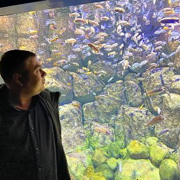 ���� ��������, ���������, 37 ��� - ��������� 9 ������ 2026