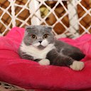  ,   -  23  2024    . -. 