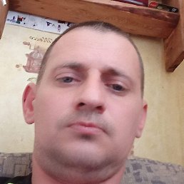 ���������, ������, 41 ���