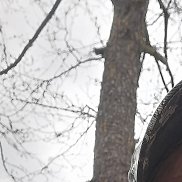 , 52 , 