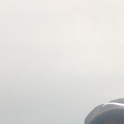 , 42 , 