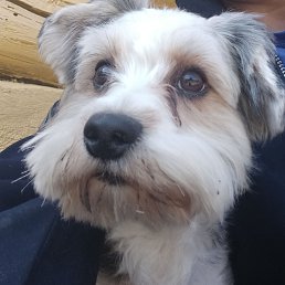 ���� ����, �������, 51 ��� - ��������� 29 ������ 2026