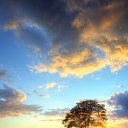 ���� �����, ������, 43 ���� - ��������� 12 ��� 2026 � ������ ���� ����������