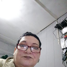 , 55, 