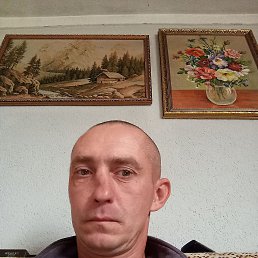 , 37 , -