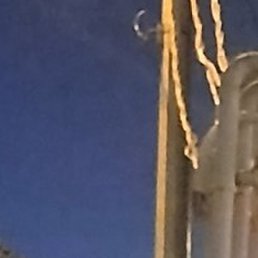 ��������, ����, 37 ���