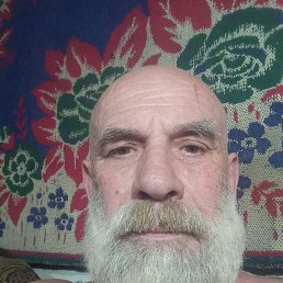 , 61, 