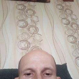 , 36, 