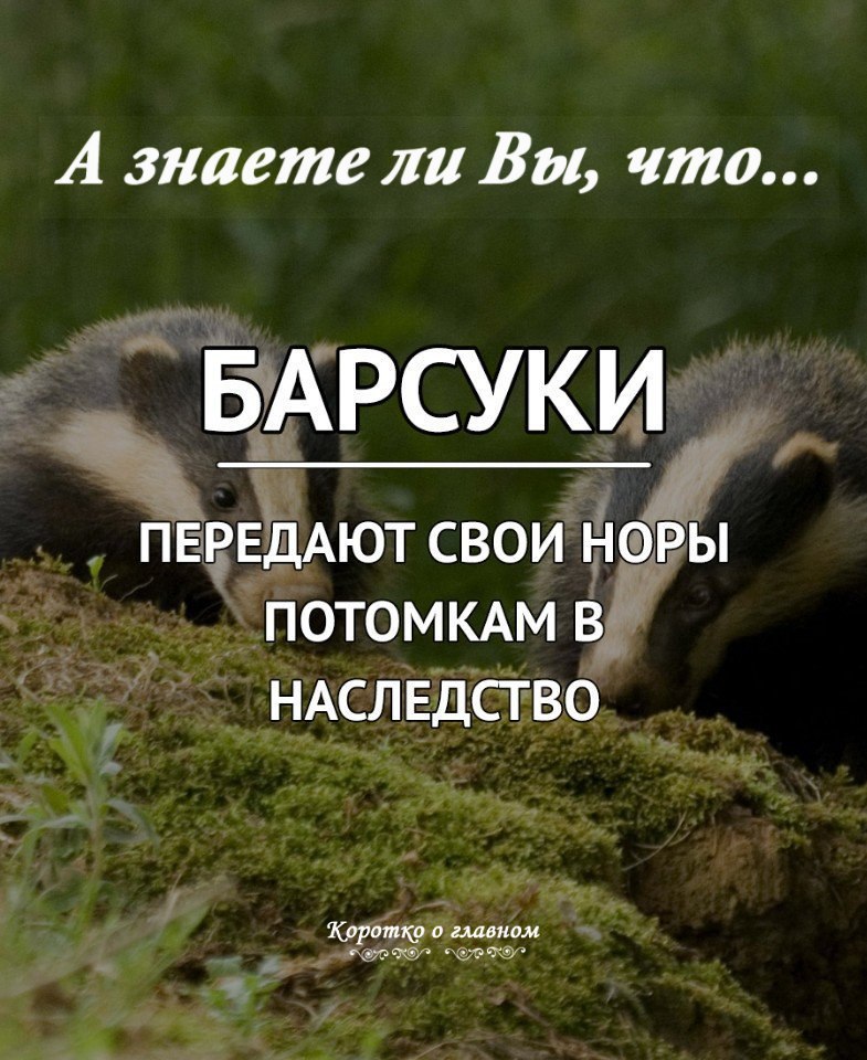 � ������ �� ��, ���...