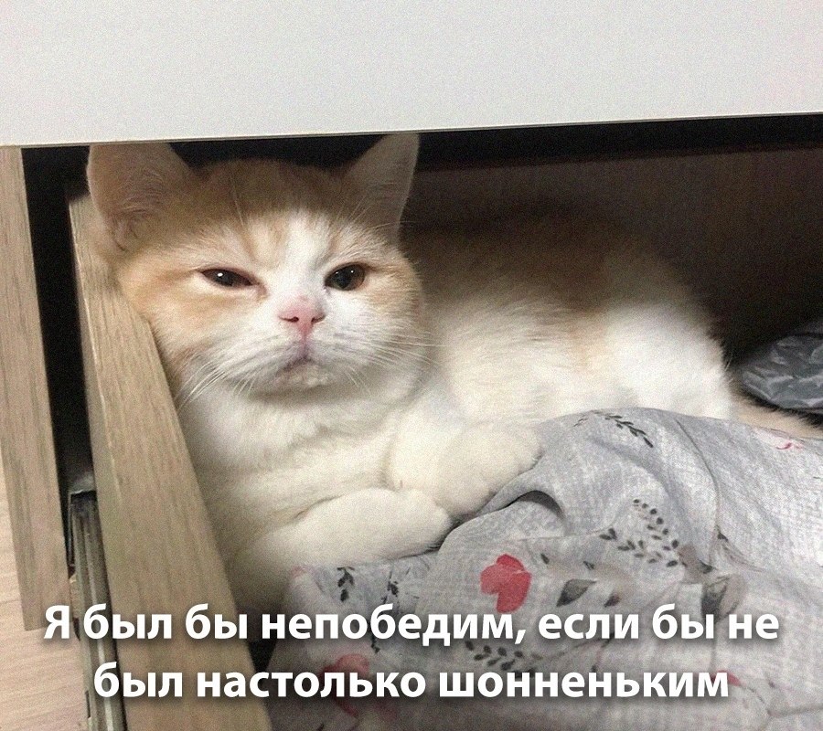    - 28  2025  16:13
