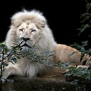 ���� ��������, ������, 44 ���� - ��������� 13 ������� 2024 � ������ ���� ����������