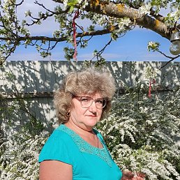 , 58, 