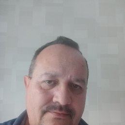 , 53, 