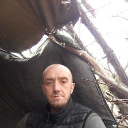  , 43 , 