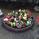 ���� ����, �������, 46 ��� - ��������� 20 ���� 2026 � ������ ������ ���