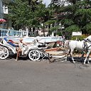 ���� ����, ���� - ��������� 29 ������ 2025 � ������ ���� ����������