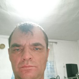 , 46, 