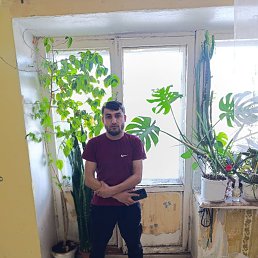 ���� �����, ������������, 36 ��� - ��������� 1 ������� 2026