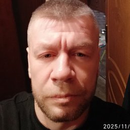 �����, ������, 41 ���