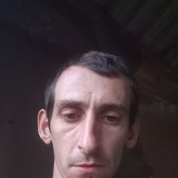 , 33, 