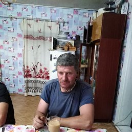 , 56, 