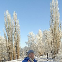 �������, ������, 39 ���