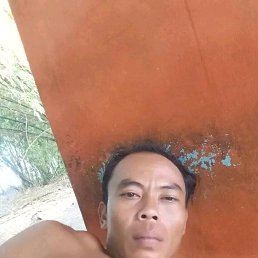 Bos ayam si a e, 29, 