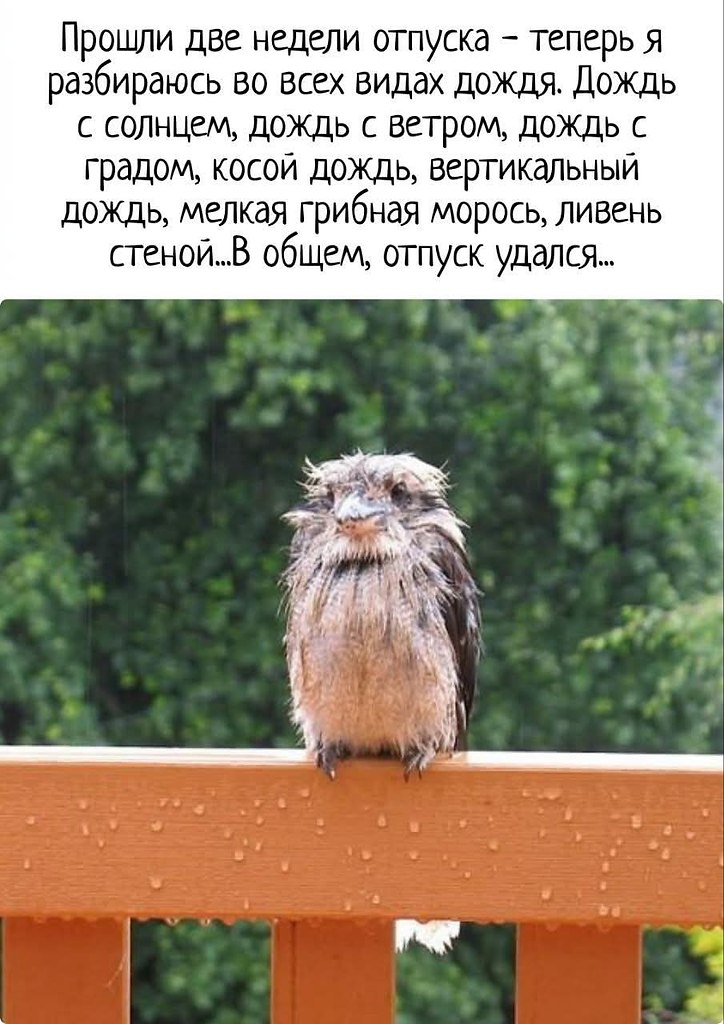   - 13  2025  11:48