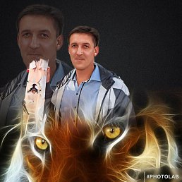 ���� ���������� ���������, ����-������, 52 ���� - ��������� 14 ������� 2025