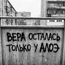 ���� ����, ������ - ��������� 15 ������ 2026 � ������ ������ ��������
