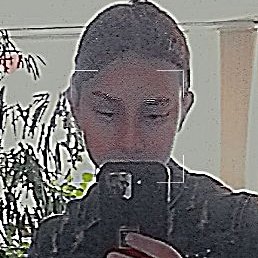 ��������, �������, 20 ���