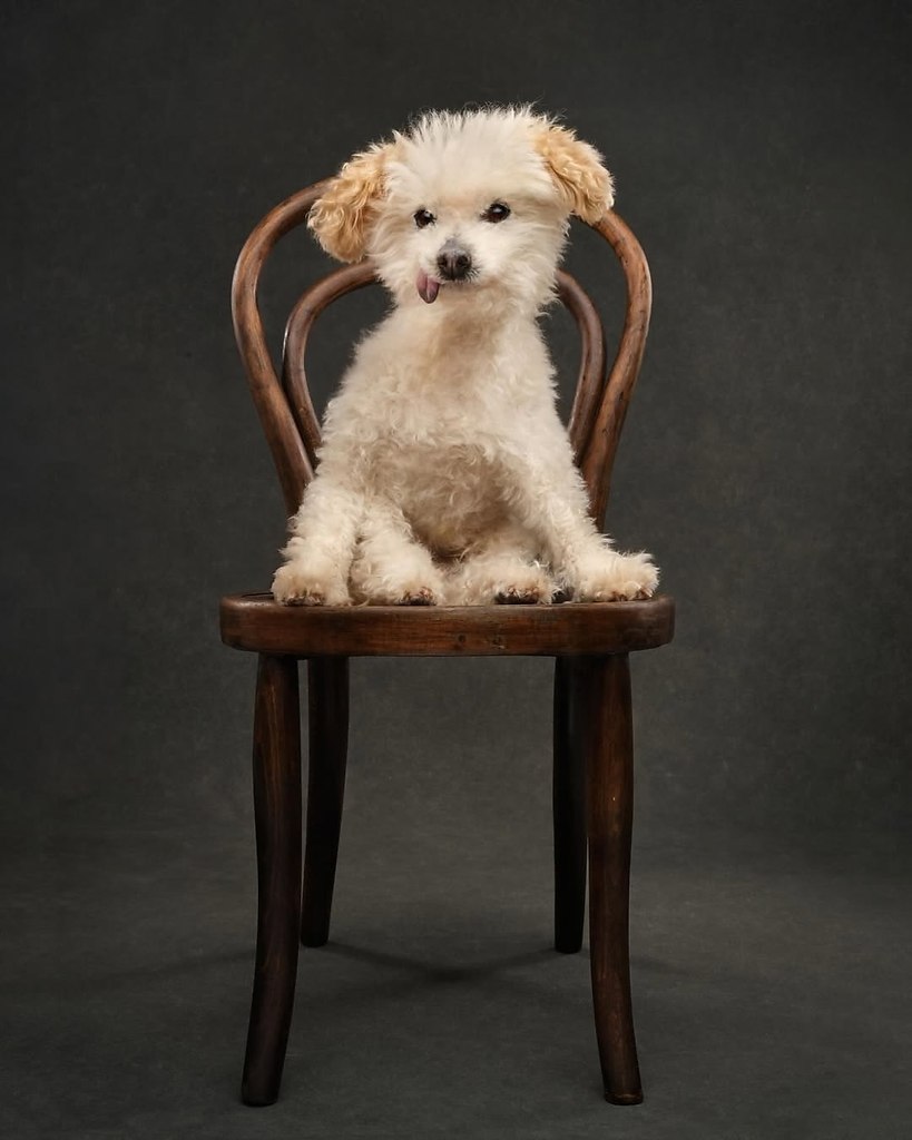 ,  .    ,    ,     18  - 4