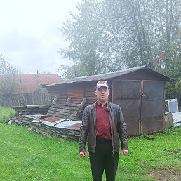 ���� �������, ���������, 54 ���� - ��������� 24 ������� 2025