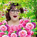 ���� �����, ���������, 61 ��� - ��������� 5 ������ 2026 � ������ ���� ����������