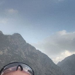 , 54 , 