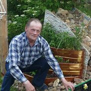 ����, 71 ���, ���������