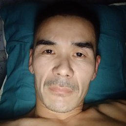 �����, ����, 36 ���