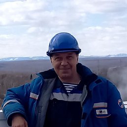, 51,  