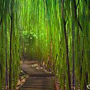 ���� �������, ������ - ��������� 27 ������� 2025 � ������ ���� ����������