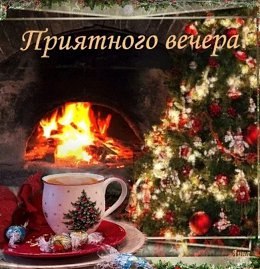   - 11  2025  20:39