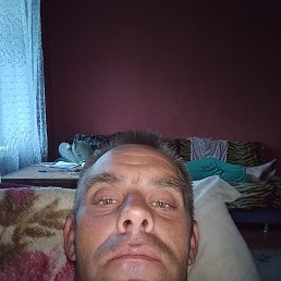 , 36, 