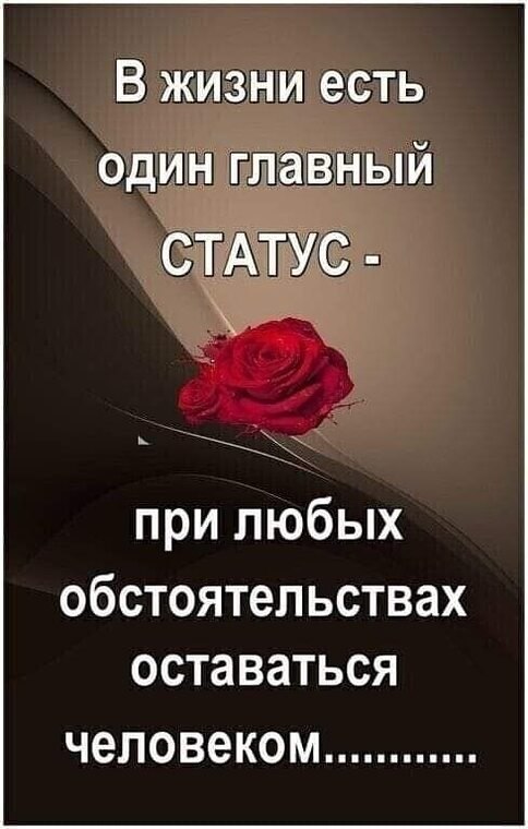 Наталья - 11 декабря 2023 в 21:00