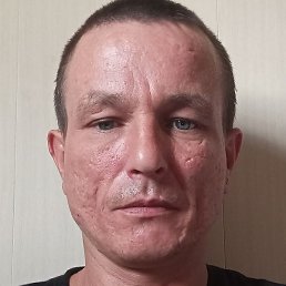 �������, ����, 37 ���