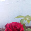  , , 35  -  25  2025