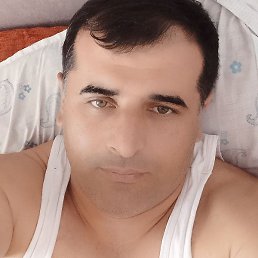 ���, ������, 41 ���