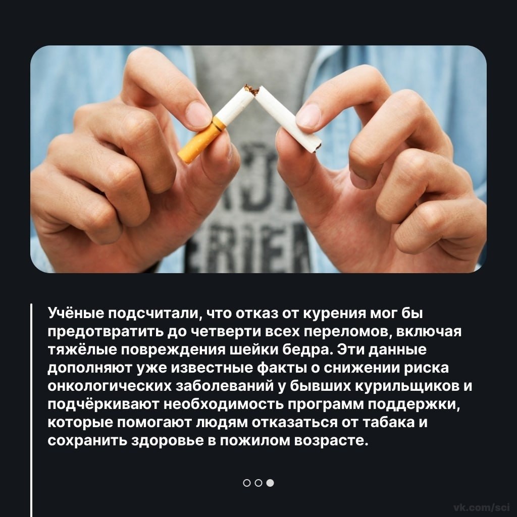 Путешествия | Туризм | Отдых на 5 - 26 сентября 2025 в 09:07 - 3