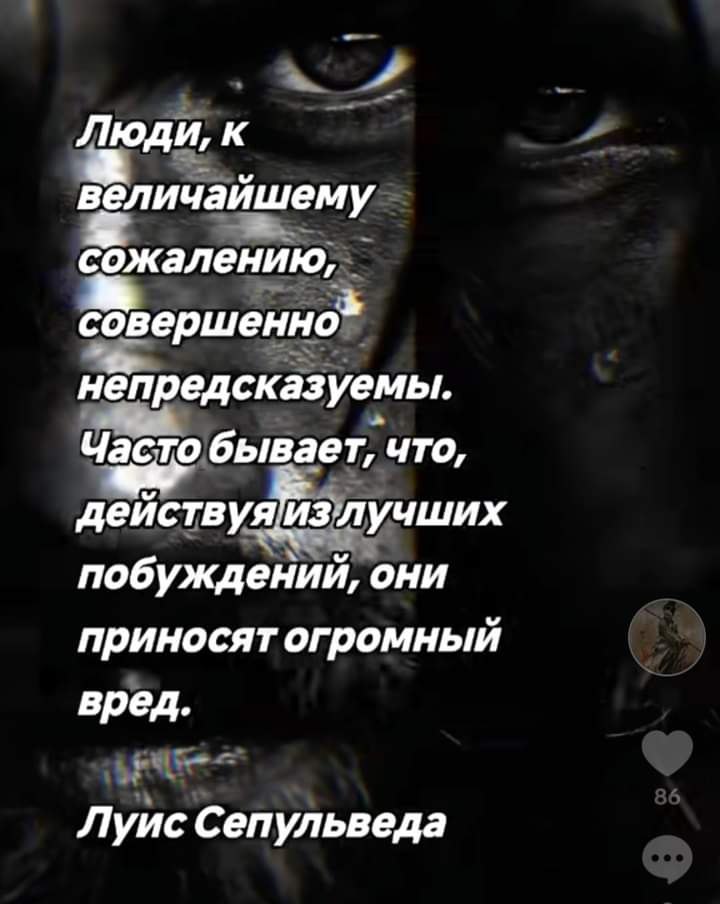  - 1  2024  19:09 - 2