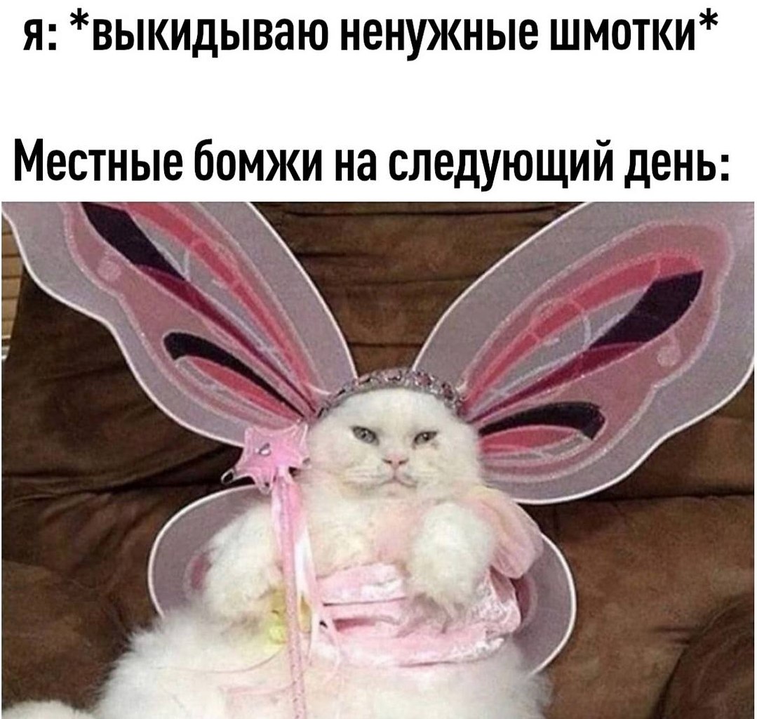    - 10  2024  18:31