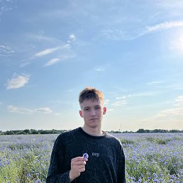 , 24, 
